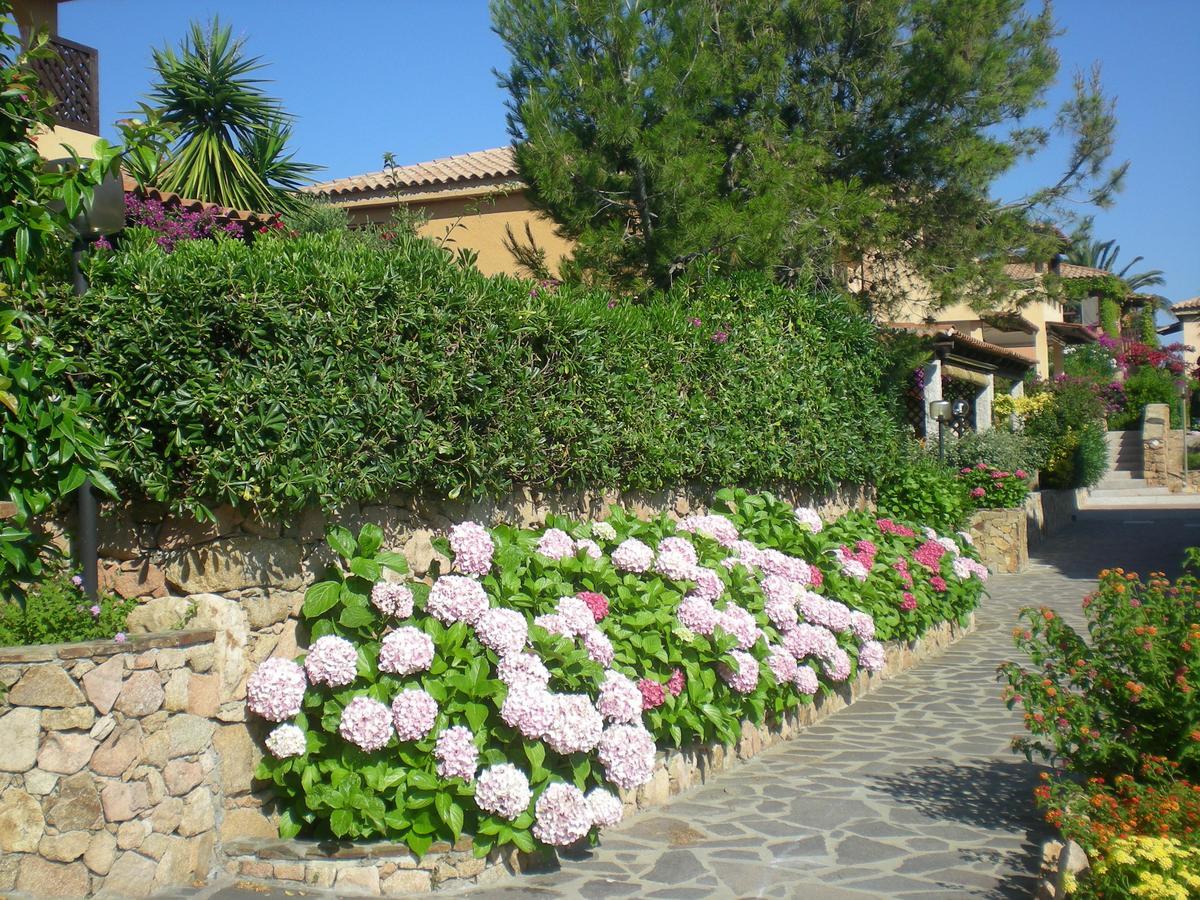 Baia De Bahas - Apartments & Resort Santa Marinella Exterior photo